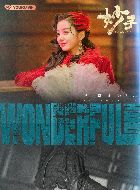 妙手冷月寒的扮演者介绍、是谁演的？