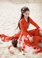 新龙门客栈金镶玉的扮演者介绍、是谁演的？