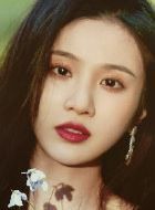 欢乐颂4何悯鸿的扮演者介绍、是谁演的？