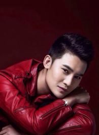 翡翠恋人雷天傲的扮演者介绍、是谁演的？