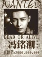 套路网剧杨思的扮演者介绍、是谁演的？