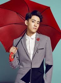 向风而行宋宋的扮演者介绍、是谁演的？