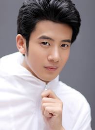 偷得将军半日闲南泼的扮演者介绍、是谁演的？