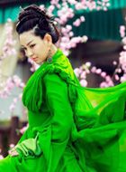 天龙八部(2014年)甘宝宝的扮演者介绍、是谁演的？