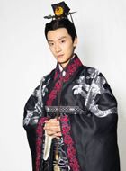 陆贞传奇/女相高演的扮演者介绍、是谁演的？