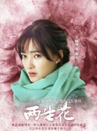 两生花颜宋/沈洛的扮演者介绍、是谁演的？