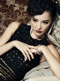 龙门镖局太后的扮演者介绍、是谁演的？