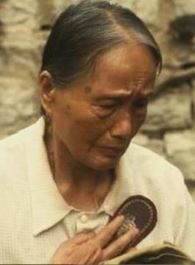 安居何太奶奶的扮演者介绍、是谁演的？