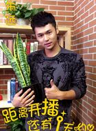 三里屯的朋友圈朱远的扮演者介绍、是谁演的？