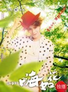 囧女翻身之嗨如花苏美的扮演者介绍、是谁演的？