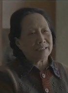 第三种幸福奶奶的扮演者介绍、是谁演的？