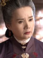 锦心似玉徐太夫人的扮演者介绍、是谁演的？