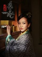 精忠岳飞赵小满的扮演者介绍、是谁演的？