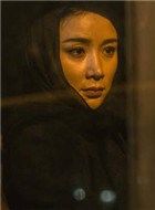 莫斯科行动赵莹的扮演者介绍、是谁演的？