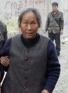 三妹齐奶奶的扮演者介绍、是谁演的？