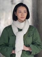 历史转折中的邓小平夏建红的扮演者介绍、是谁演的？