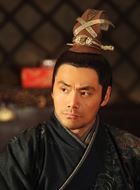 精忠岳飞韩世忠的扮演者介绍、是谁演的？