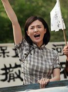 打狗棍戴若冰的扮演者介绍、是谁演的？