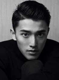 我爱你这是最好的安排杨力的扮演者介绍、是谁演的？