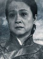 战长沙胡刘氏的扮演者介绍、是谁演的？