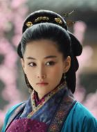 精忠岳飞梁红玉的扮演者介绍、是谁演的？