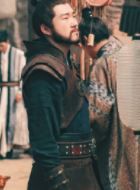 将军家的小娘子豹子头的扮演者介绍、是谁演的？