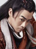 有翡杨瑾的扮演者介绍、是谁演的？