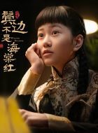 鬓边不是海棠红察察儿的扮演者介绍、是谁演的？