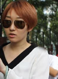 楼外楼凤儿的扮演者介绍、是谁演的？