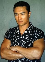 六扇门方毅的扮演者介绍、是谁演的？