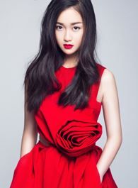 陪你逐风飞翔刘菲的扮演者介绍、是谁演的？