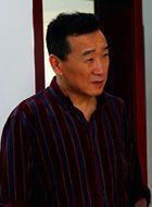 国家审计黄父的扮演者介绍、是谁演的？