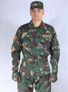 我是特种兵之霹雳火王星的扮演者介绍、是谁演的？