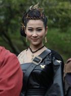 抗倭奇侠仙子的扮演者介绍、是谁演的？