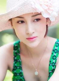 龙门飞甲秋海棠的扮演者介绍、是谁演的？