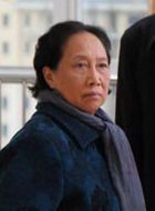 一生守护陈月琴的扮演者介绍、是谁演的？