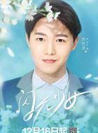 闪光少女王文的扮演者介绍、是谁演的？