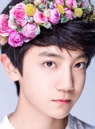 思美人少年子横的扮演者介绍、是谁演的？