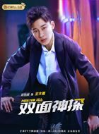 双面神探王大雨的扮演者介绍、是谁演的？