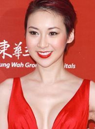 战毒马君的扮演者介绍、是谁演的？