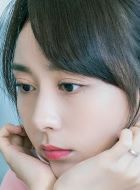 我的砍价女王付双双的扮演者介绍、是谁演的？