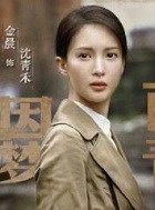 隐秘而伟大沈青禾的扮演者介绍、是谁演的？