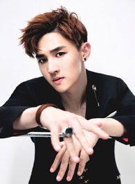 勇敢的翅膀林爱飞的扮演者介绍、是谁演的？