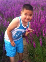 乡村爱情11谢腾飞的扮演者介绍、是谁演的？