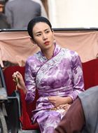 大染坊续夏菊花的扮演者介绍、是谁演的？