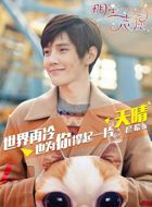 明星志愿天晴的扮演者介绍、是谁演的？