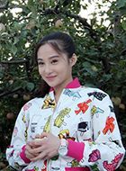 苦乐村官梅花的扮演者介绍、是谁演的？