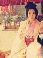 班淑传奇明宫长的扮演者介绍、是谁演的？