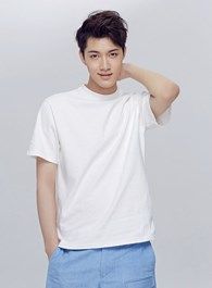 夜凛神探成杨的扮演者介绍、是谁演的？