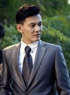 爱上女总裁柳风的扮演者介绍、是谁演的？